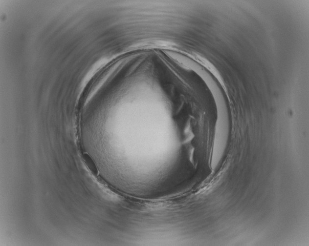 X0000075820997200610151450