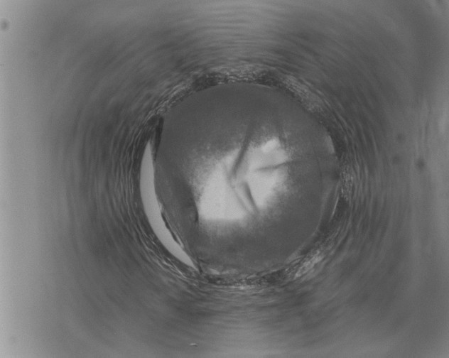 X0000075821010200610151449