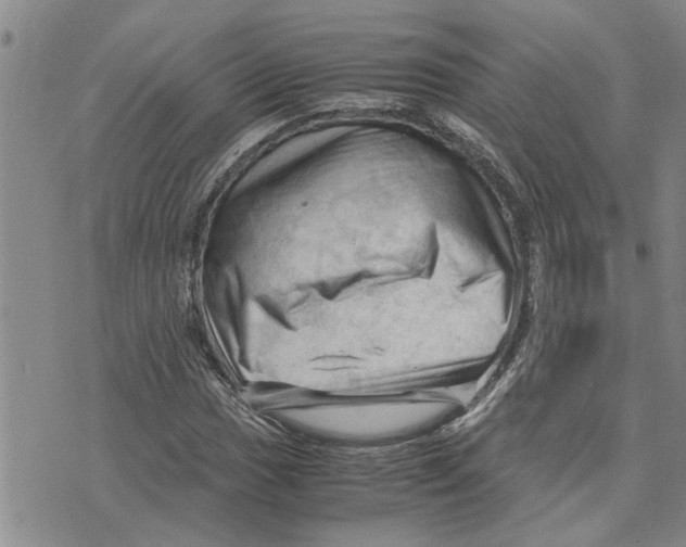 X0000075821017200610151449