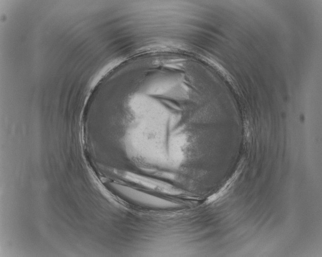 X0000075821034200610151450