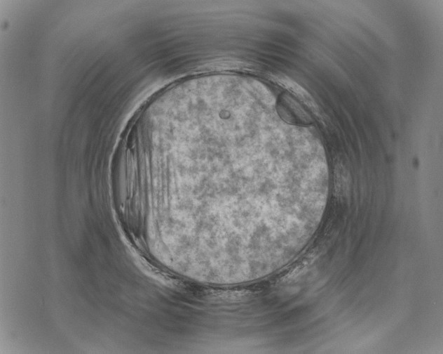 X0000075821039200610151450