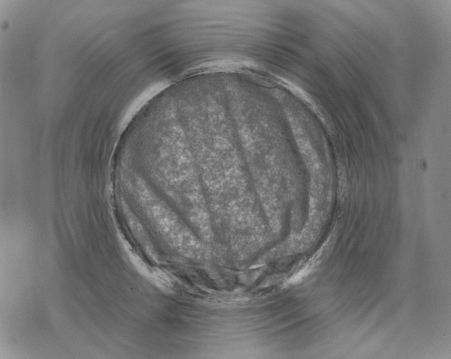 X0000075821042200610151450