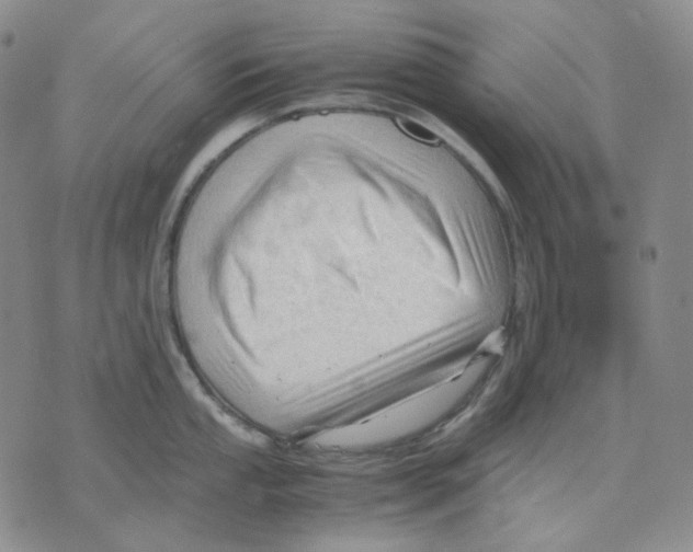 X0000075821053200610151450