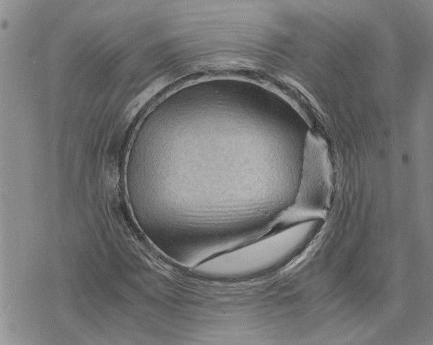 X0000075821065200610151449
