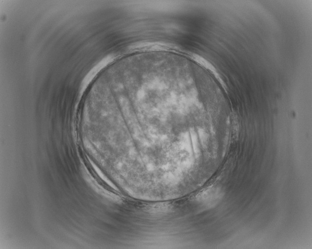 X0000075821090200610151449
