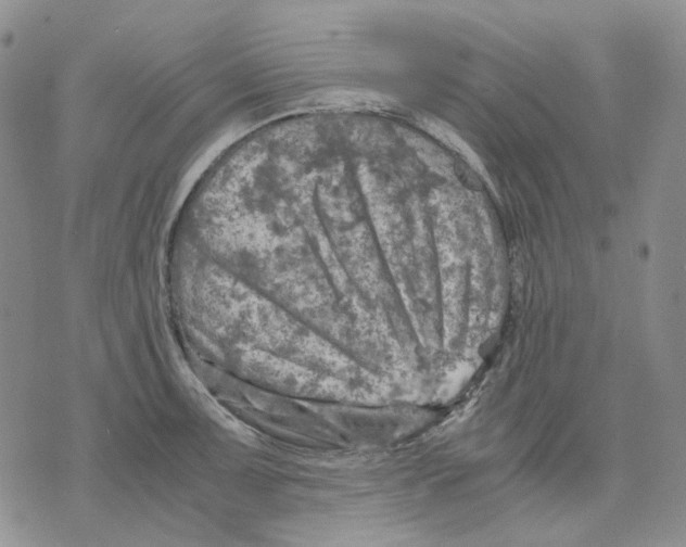 X0000075821091200610151449