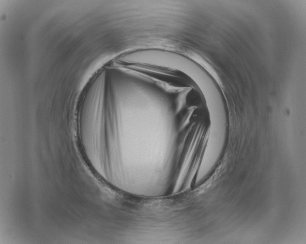 X0000075821093200610151449