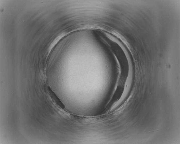 X0000075821097200610151449