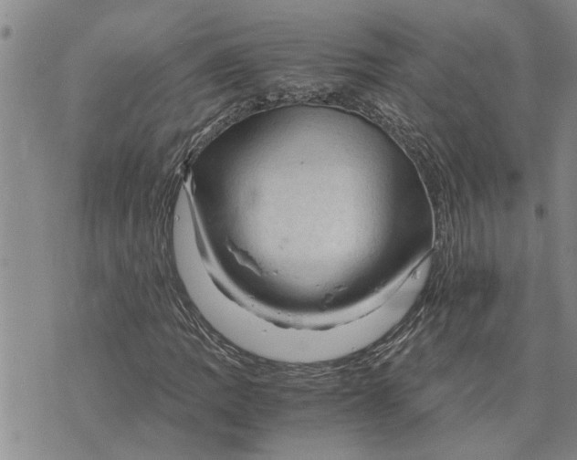 X0000075821109200610151448