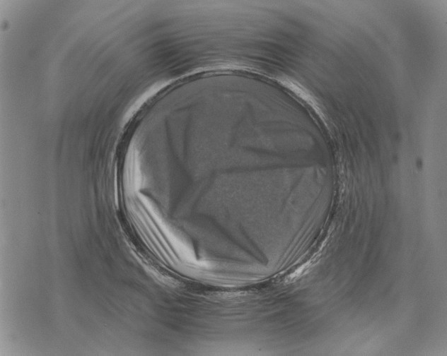 X0000075821127200610151448