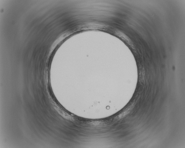 X0000075821130200610151448