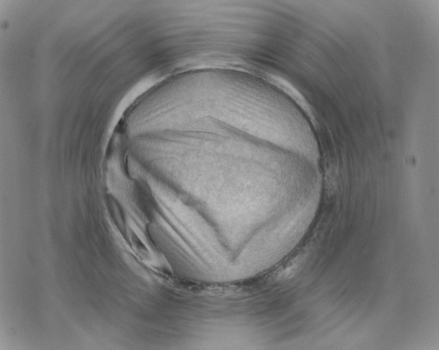 X0000075821146200610151448