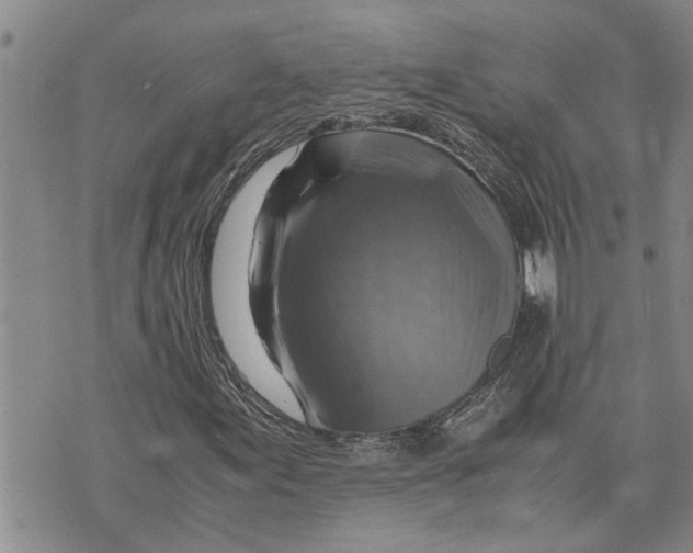 X0000075821155200610151448