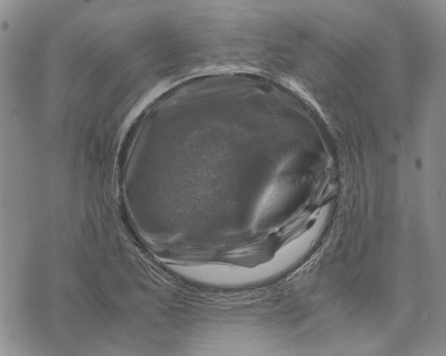X0000075821173200610151447