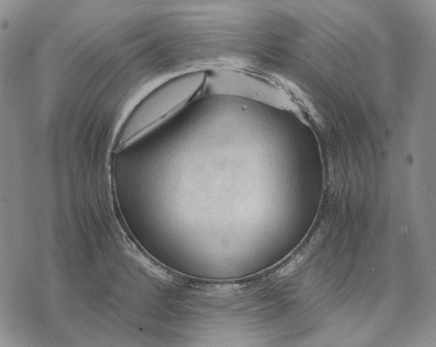 X0000075821184200610151447