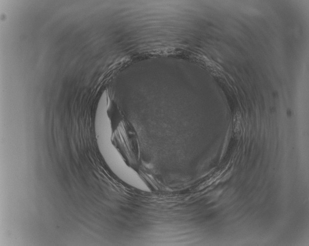 X0000075821202200610151446