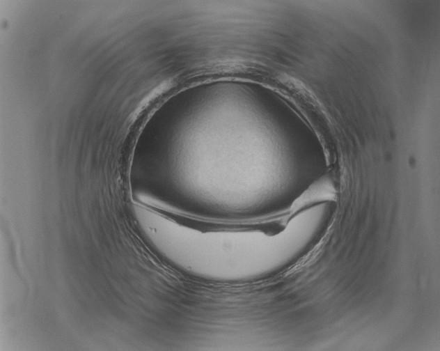 X0000075821210200610151446