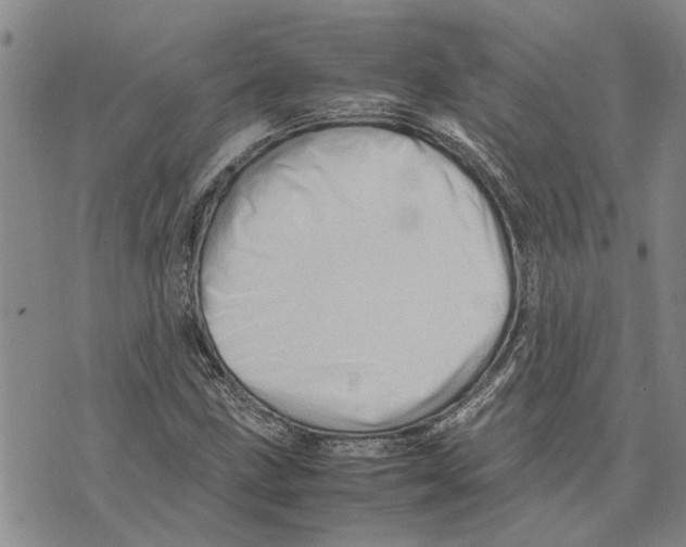 X0000075821211200610151446