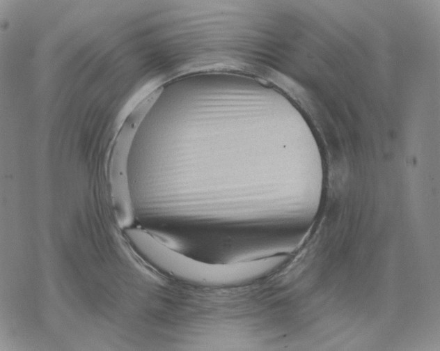 X0000075821242200610151447