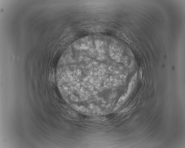 X0000075821251200610151446