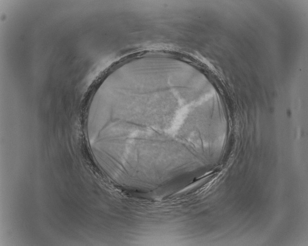 X0000075821263200610151446