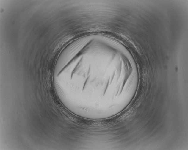 X0000075821265200610151446