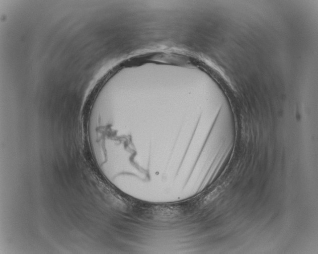 X0000075821270200610151446