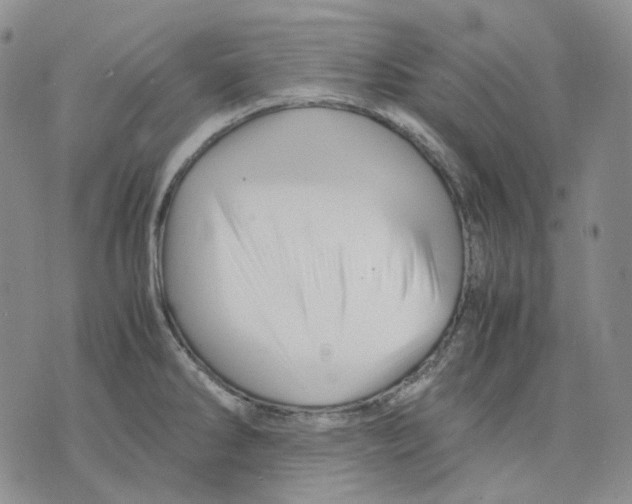 X0000075821286200610151445