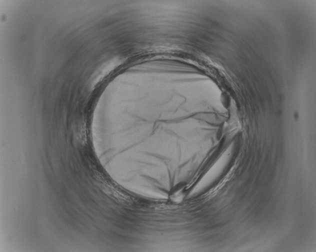 X0000075821306200610151445