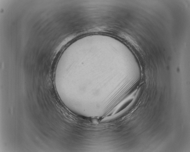 X0000075821308200610151445