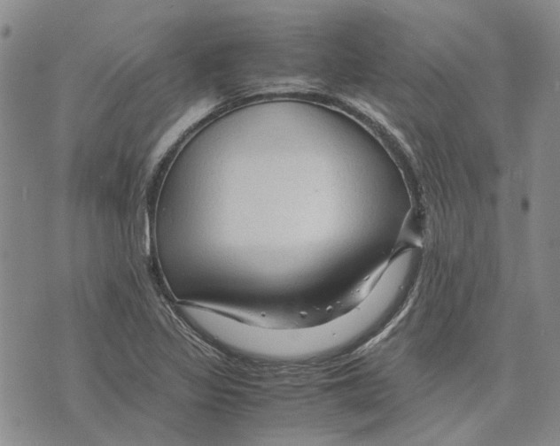 X0000075821317200610151445