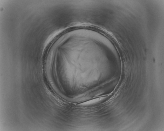 X0000075821319200610151445