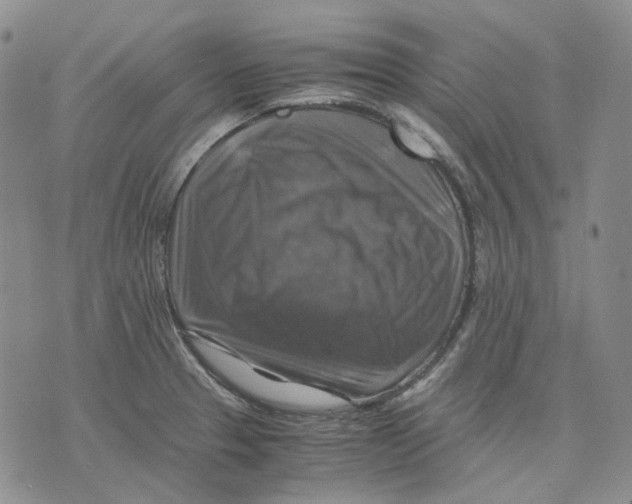 X0000075821329200610151445