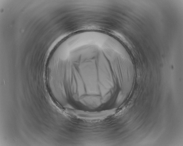 X0000075821331200610151445