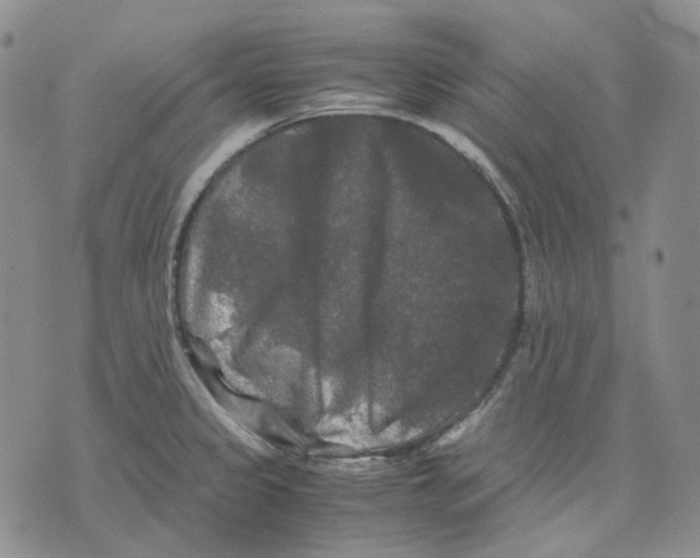 X0000075821333200610151445