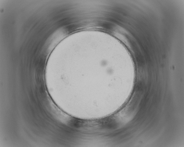 X0000075821338200610151445