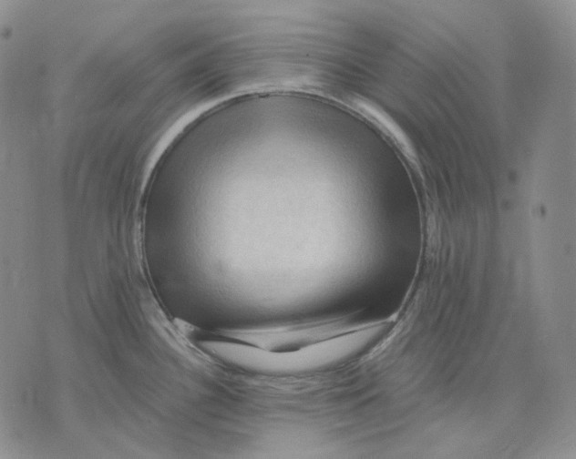 X0000075821340200610151445