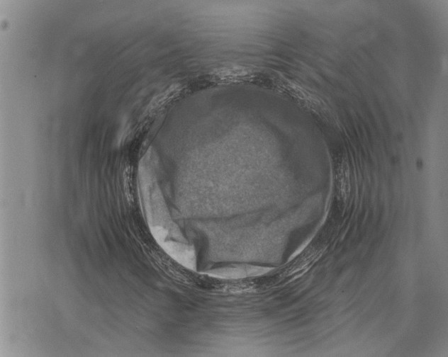 X0000075821346200610151444