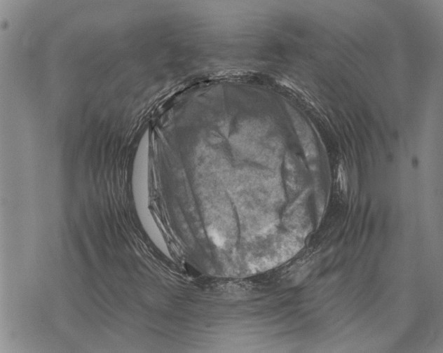 X0000075821348200610151444