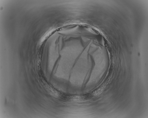 X0000075821359200610151444
