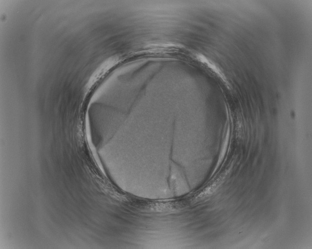 X0000075821362200610151444