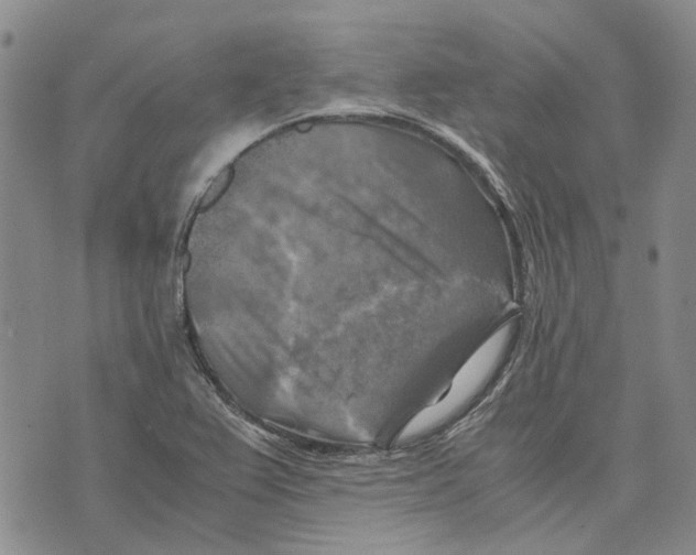 X0000075821367200610151444