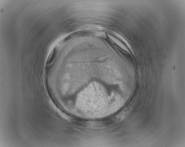 X0000075821379200610151444