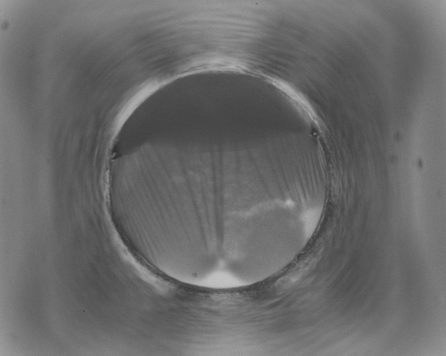X0000075821383200610151444