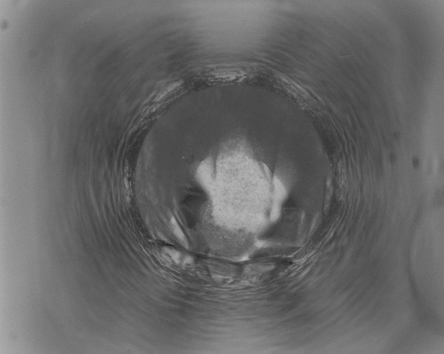 X0000075821394200610151443