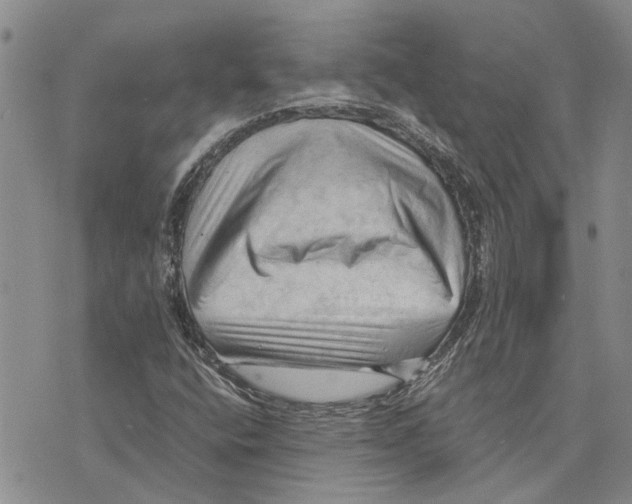 X0000075821400200610151443