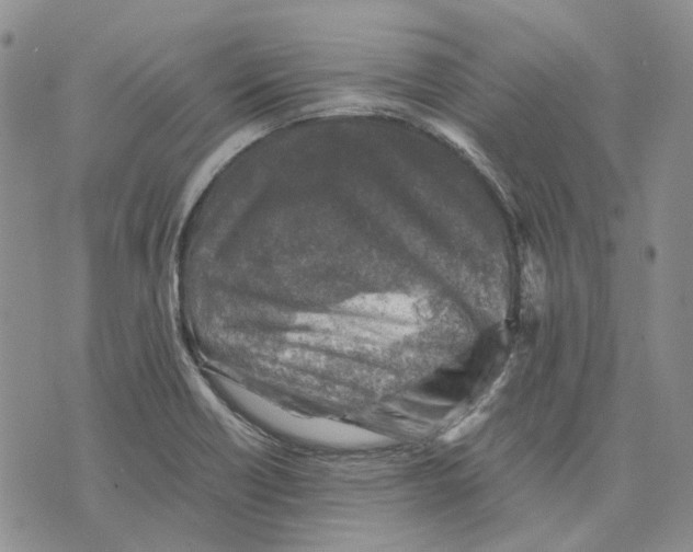 X0000075821418200610151443