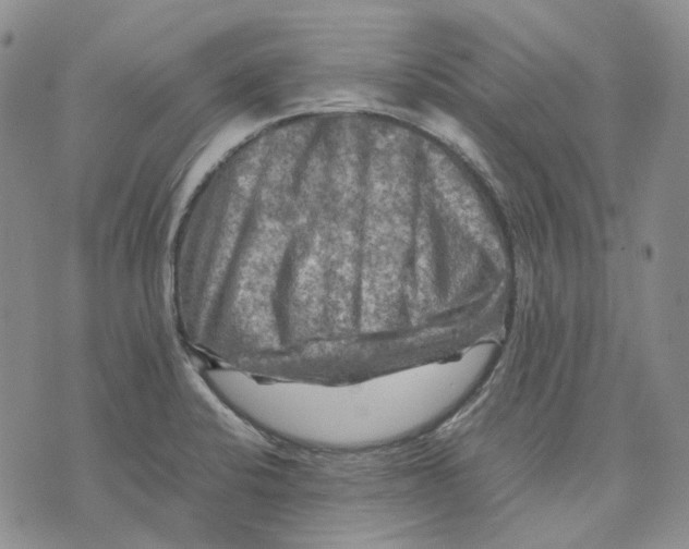 X0000075821424200610151443