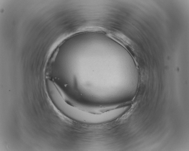 X0000075821430200610151444