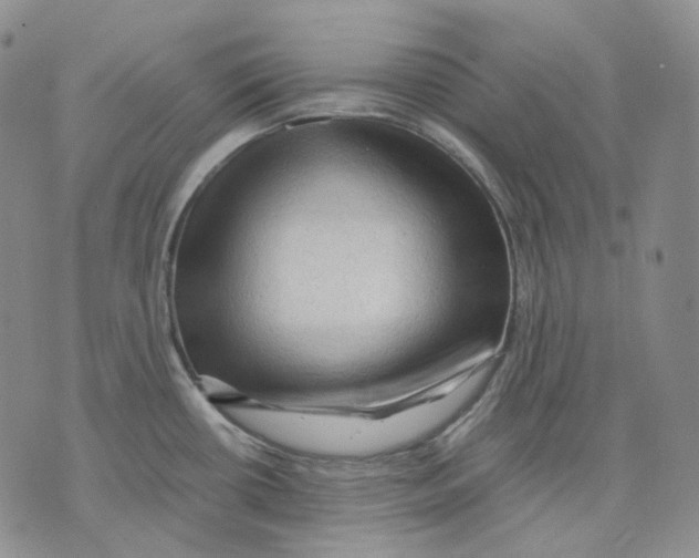 X0000075821434200610151444